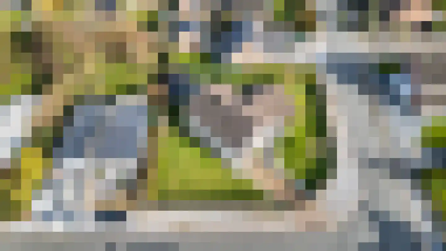 Kievitstraat 39 Arriën thumbnail 5