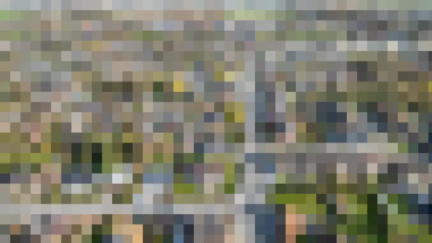 Kievitstraat 39 Arriën thumbnail 6