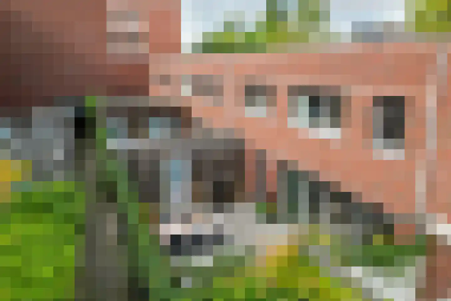 Kievitstraat 39 Breda thumbnail 40