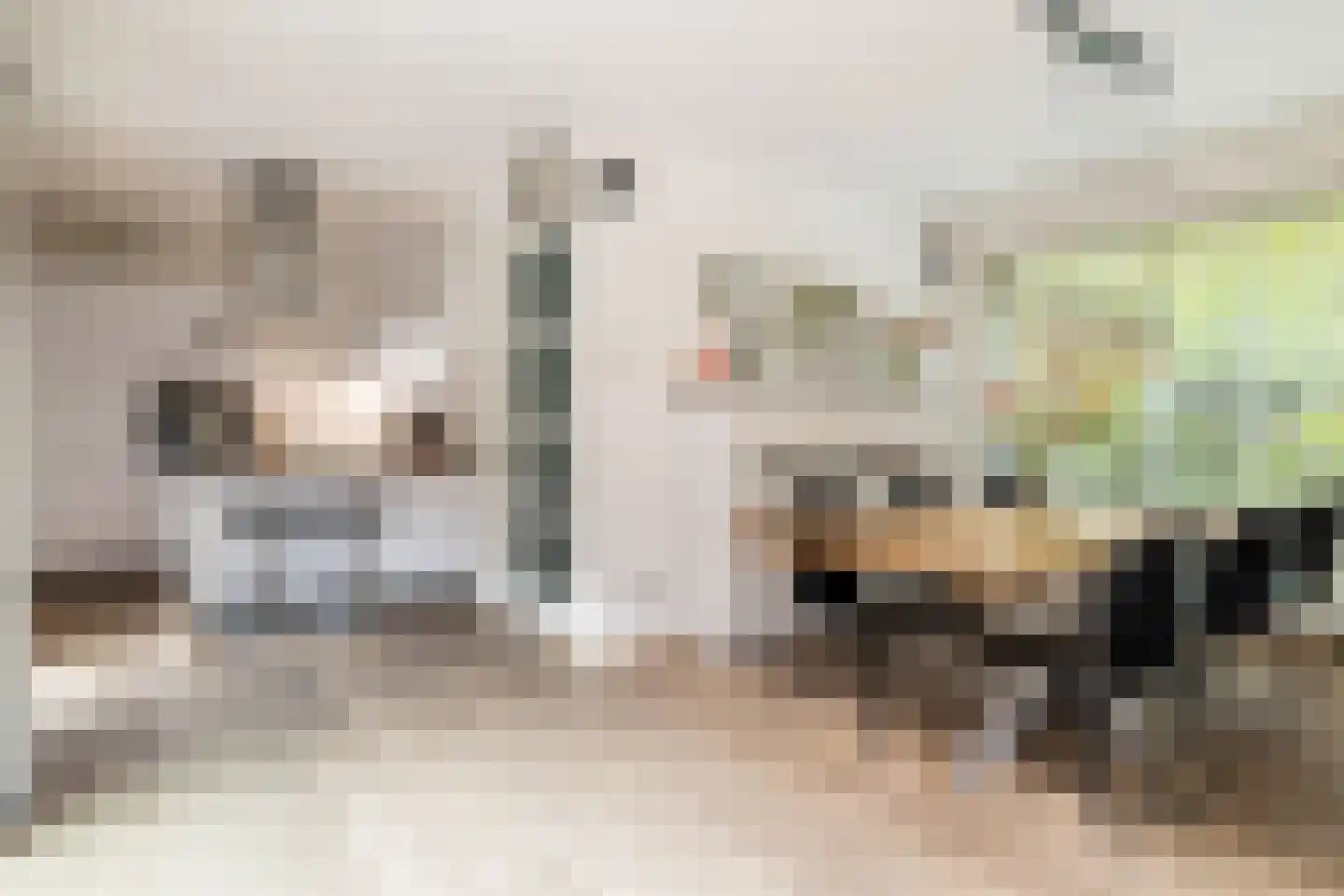 Kievitstraat 39 Breda thumbnail 8