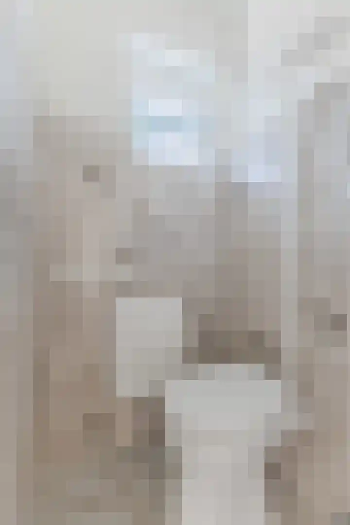 Kievitstraat 39 Geldrop thumbnail 15