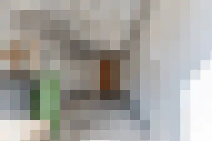 Kievitstraat 39 Geldrop thumbnail 28