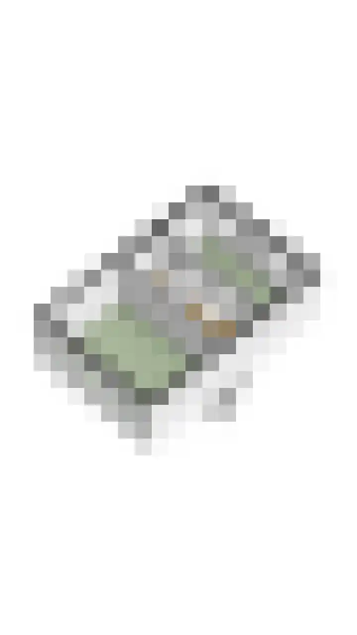 Kievitstraat 39 Geldrop thumbnail 40
