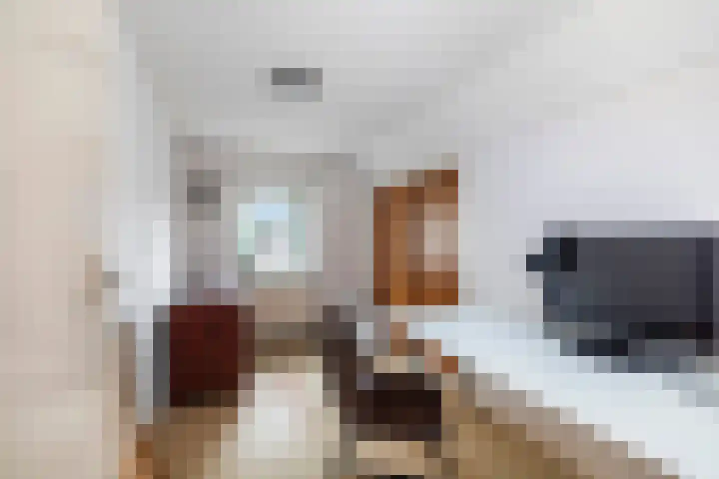 Kievitstraat 39 Geldrop thumbnail 8