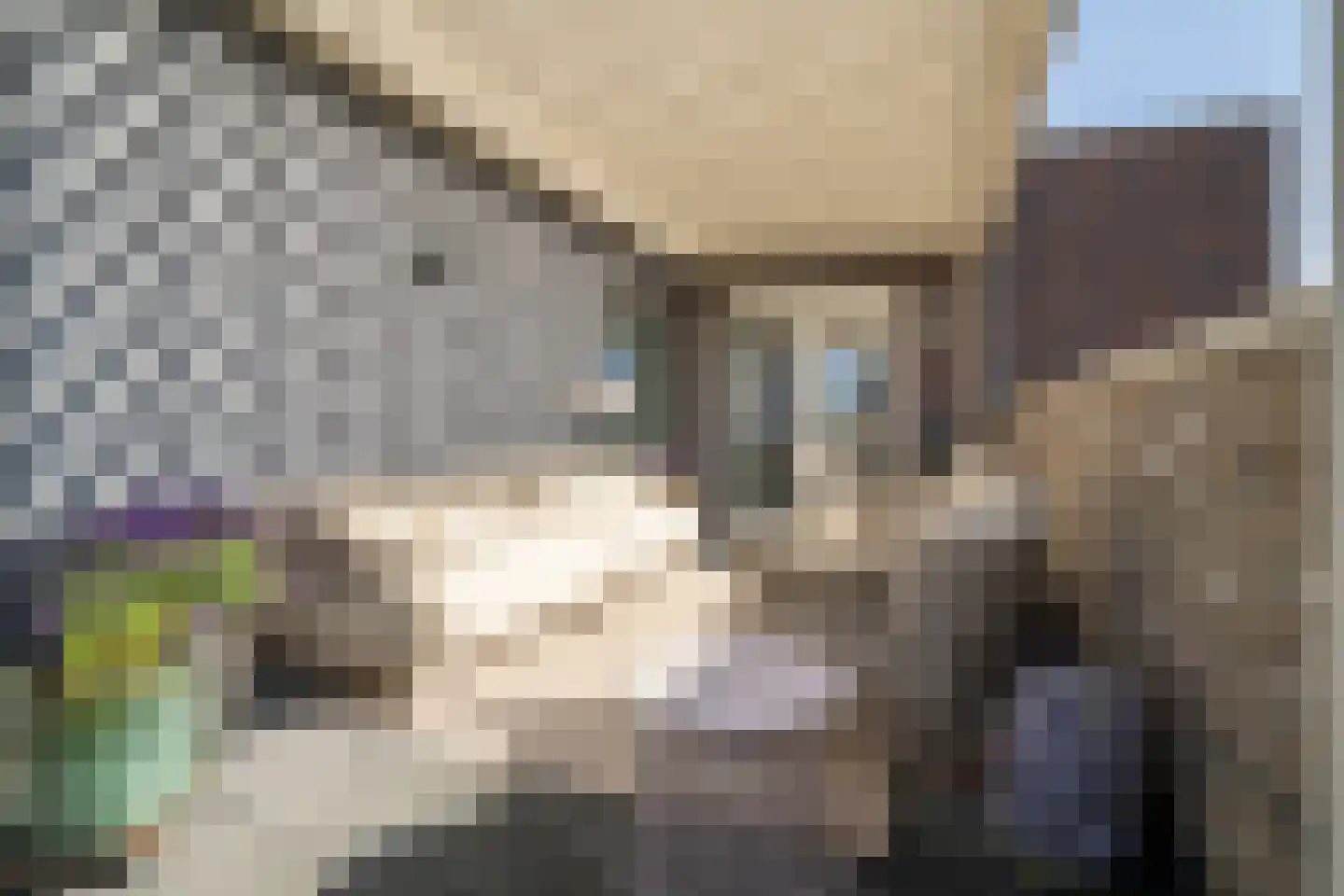 Kievitstraat 39 Geldrop thumbnail 9