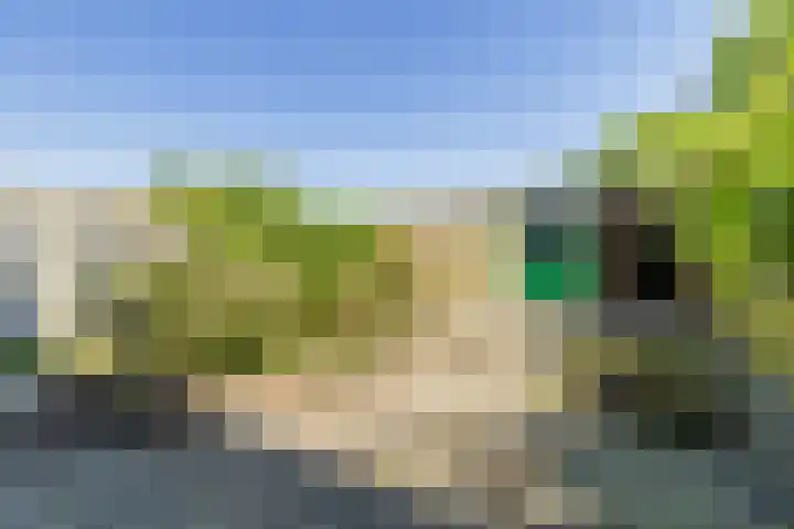 Kievitstraat 39 Strijen thumbnail 24