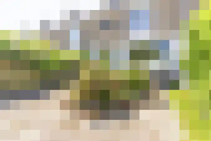 Kievitstraat 39 Strijen thumbnail 26