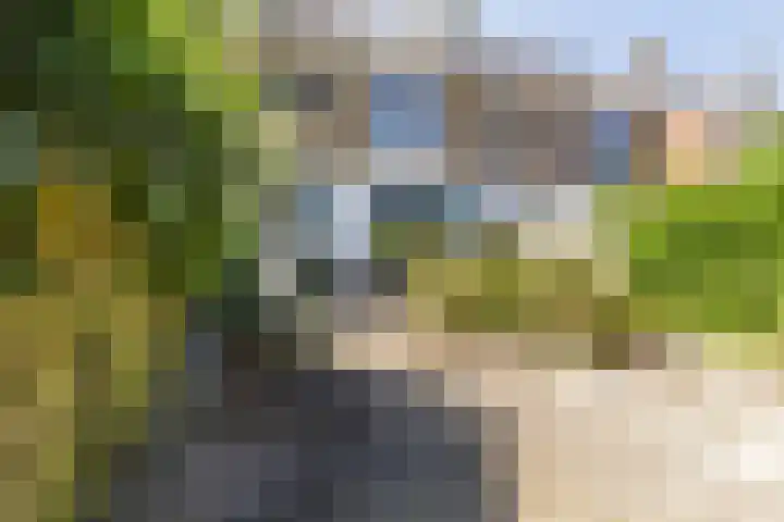 Kievitstraat 39 Strijen thumbnail 27