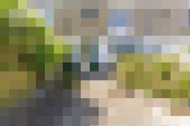Kievitstraat 39 Strijen thumbnail 29