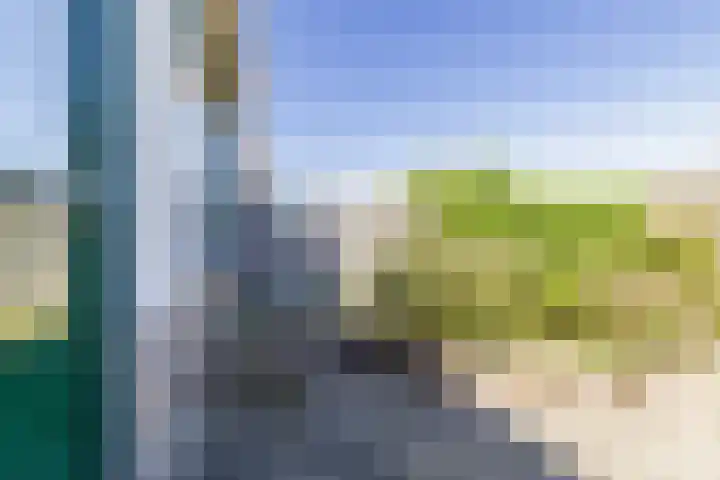 Kievitstraat 39 Strijen thumbnail 30
