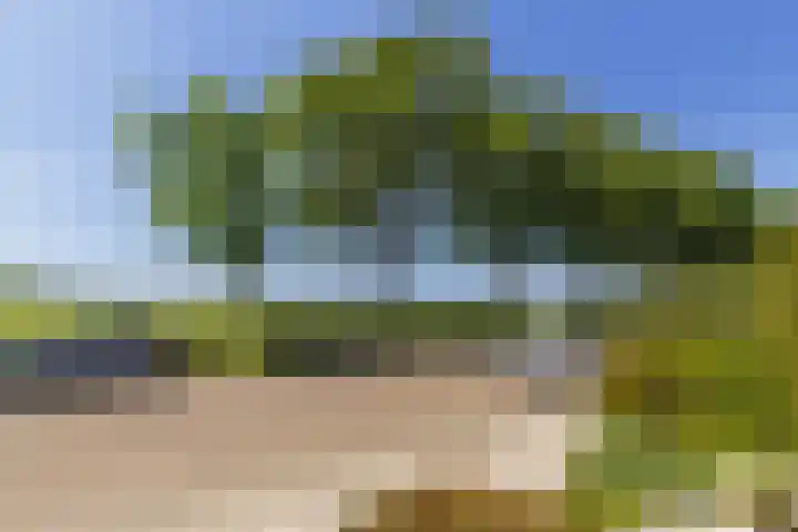 Kievitstraat 39 Strijen thumbnail 35