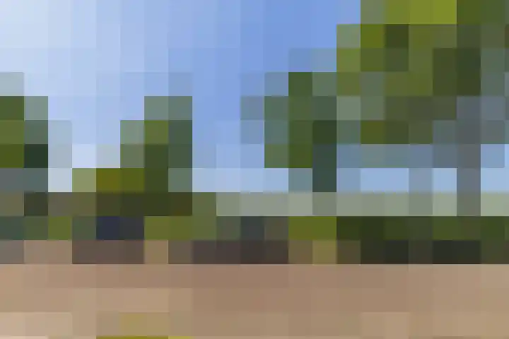 Kievitstraat 39 Strijen thumbnail 36