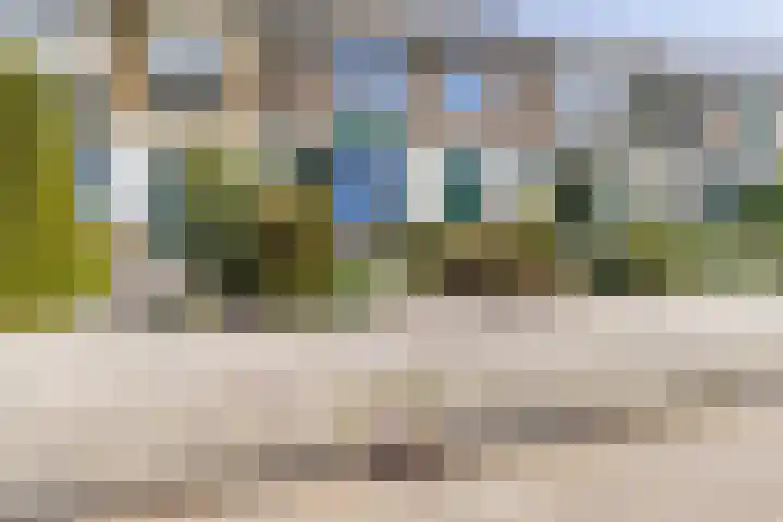 Kievitstraat 39 Strijen thumbnail 40