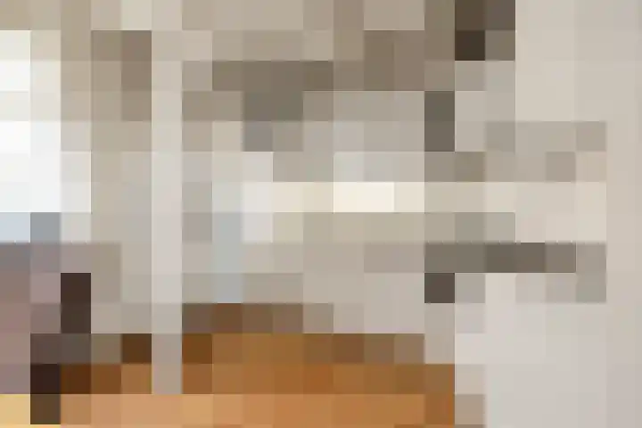 Kievitstraat 4 Anna Paulowna thumbnail 10