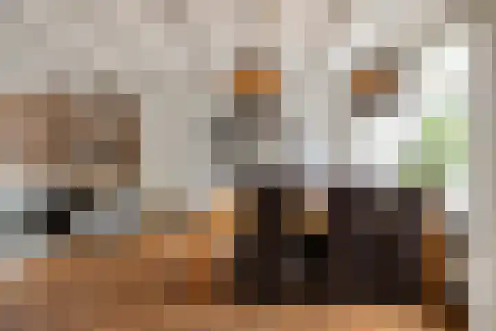 Kievitstraat 4 Anna Paulowna thumbnail 11