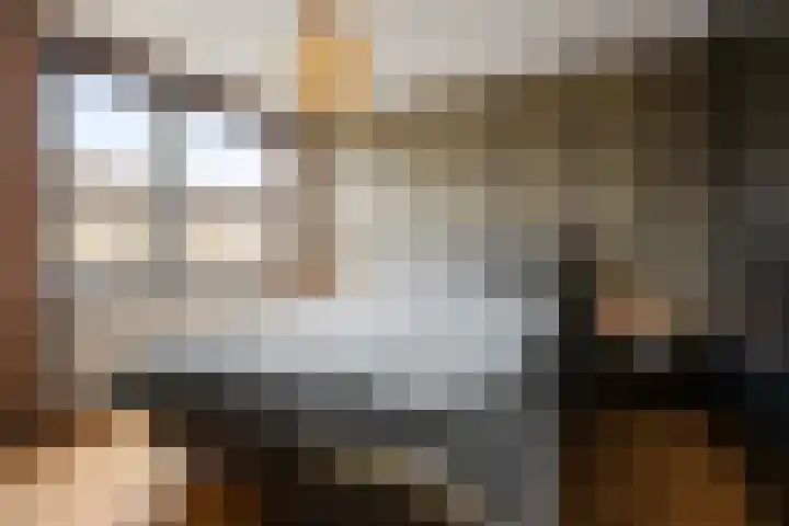 Kievitstraat 4 Anna Paulowna thumbnail 13