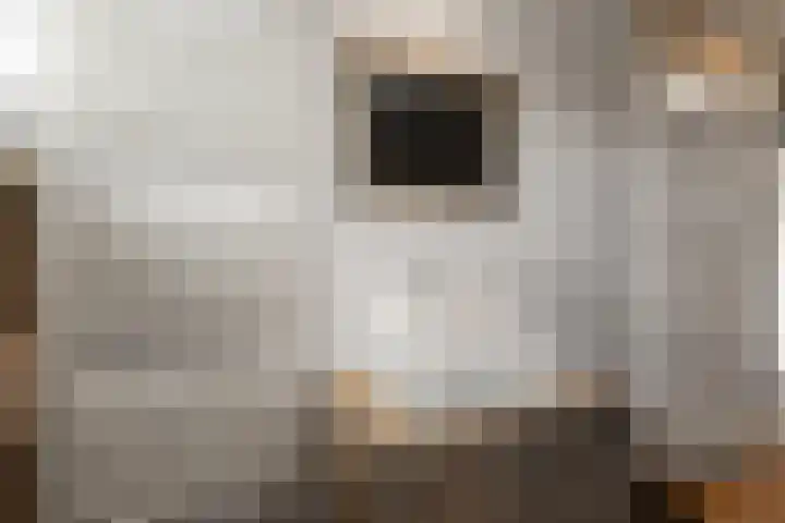 Kievitstraat 4 Anna Paulowna thumbnail 21