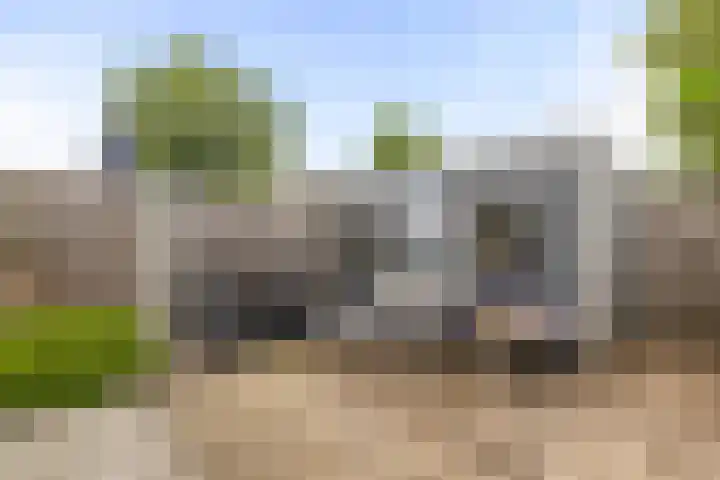 Kievitstraat 4 Anna Paulowna thumbnail 24
