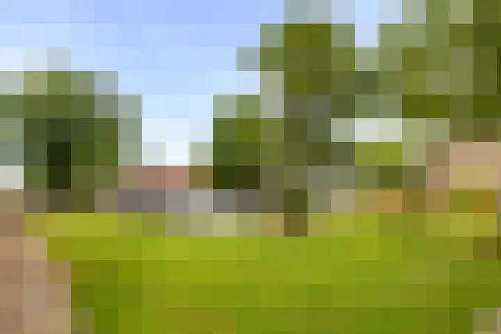 Kievitstraat 4 Anna Paulowna thumbnail 28