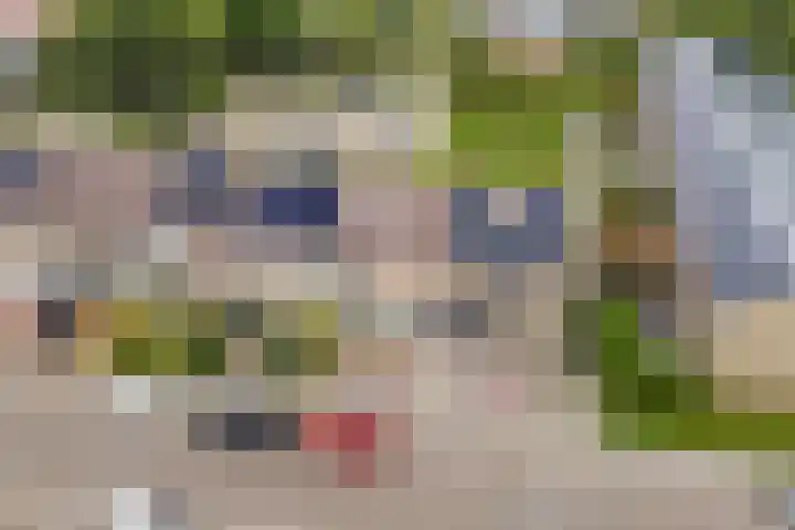 Kievitstraat 4 Anna Paulowna thumbnail 5