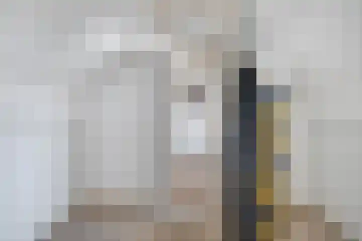 Kievitstraat 40 Lisse thumbnail 23
