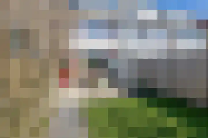 Kievitstraat 40 Lisse thumbnail 28