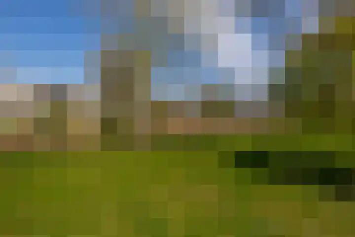 Kievitstraat 40 Lisse thumbnail 33