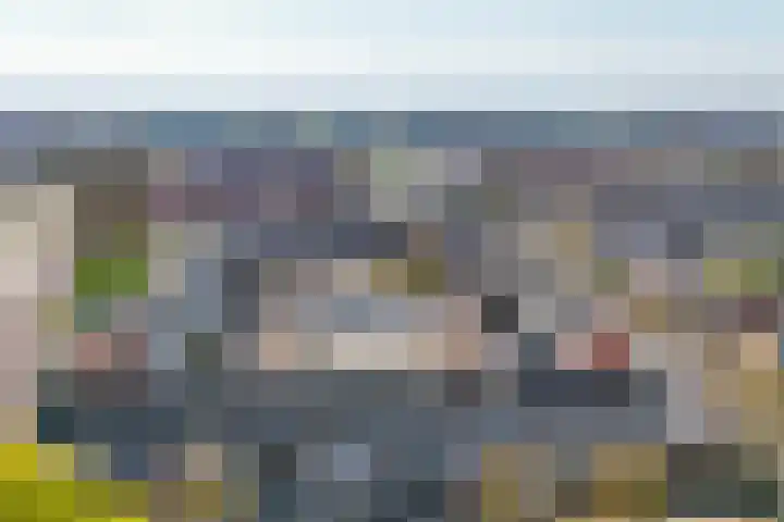 Kievitstraat 40 Lisse thumbnail 36