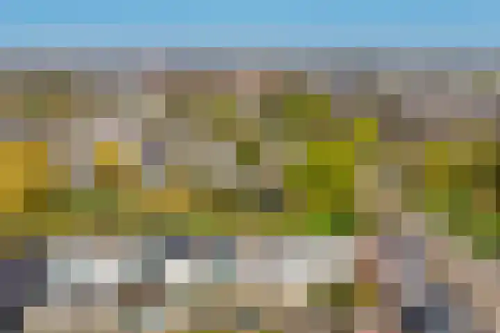 Kievitstraat 40 Lisse thumbnail 38