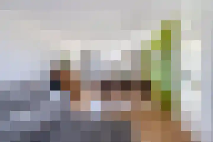 Kievitstraat 40 Lisse thumbnail 5