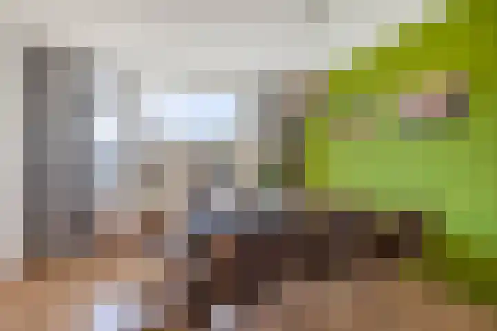 Kievitstraat 40 Lisse thumbnail 6