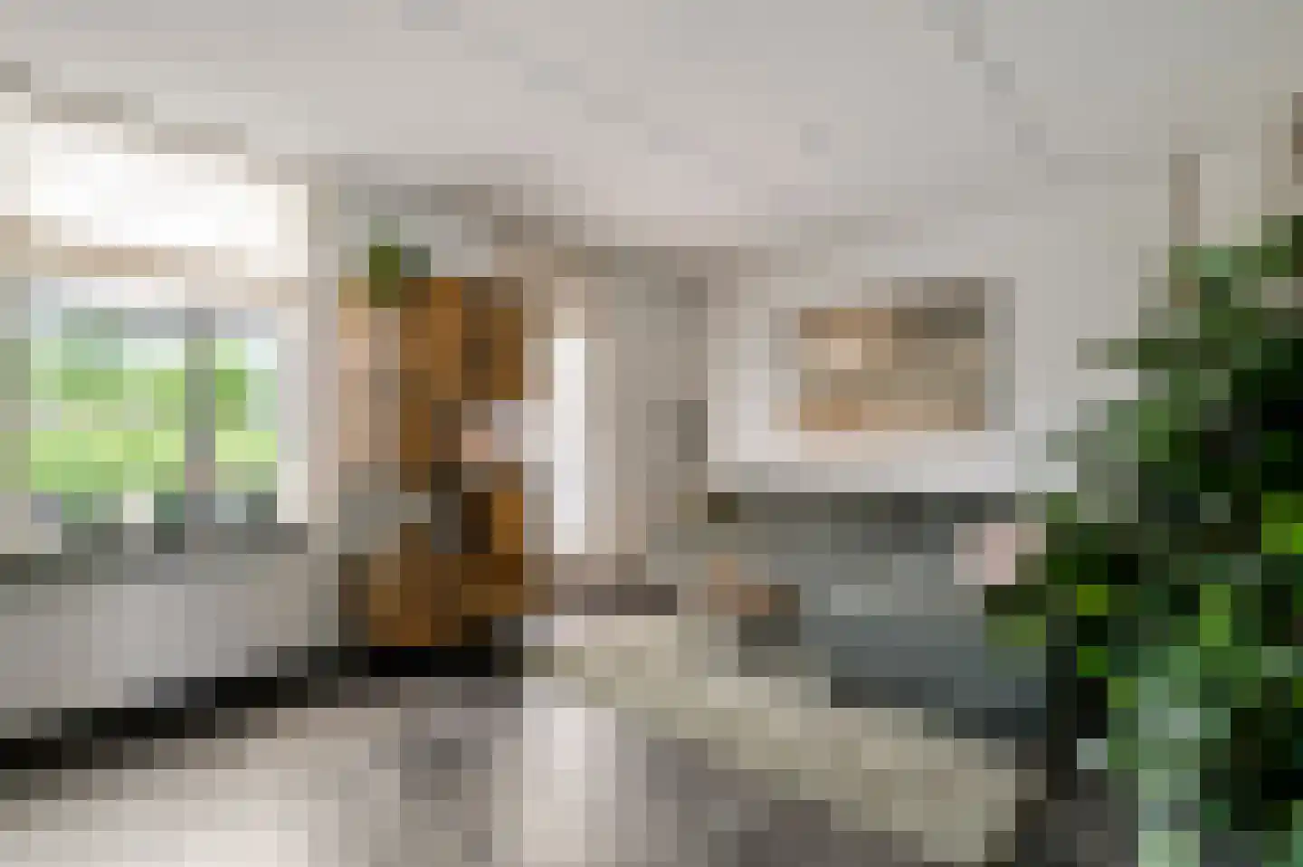Kievitstraat 41 Sint Joost thumbnail 11