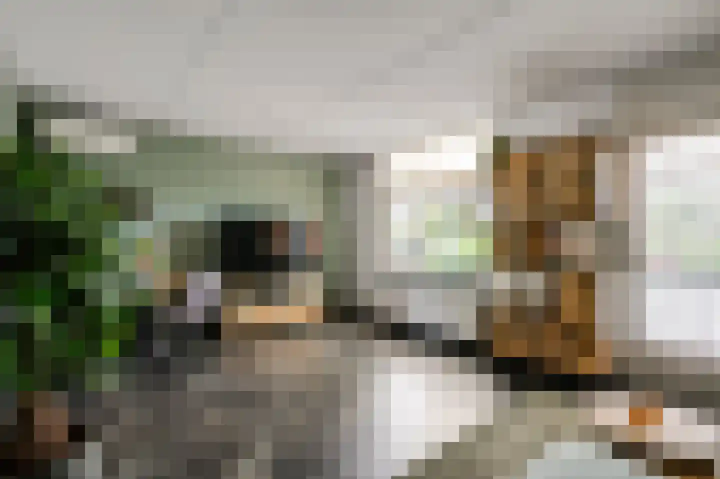 Kievitstraat 41 Sint Joost thumbnail 12