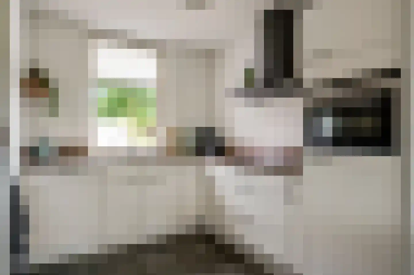 Kievitstraat 41 Sint Joost thumbnail 17