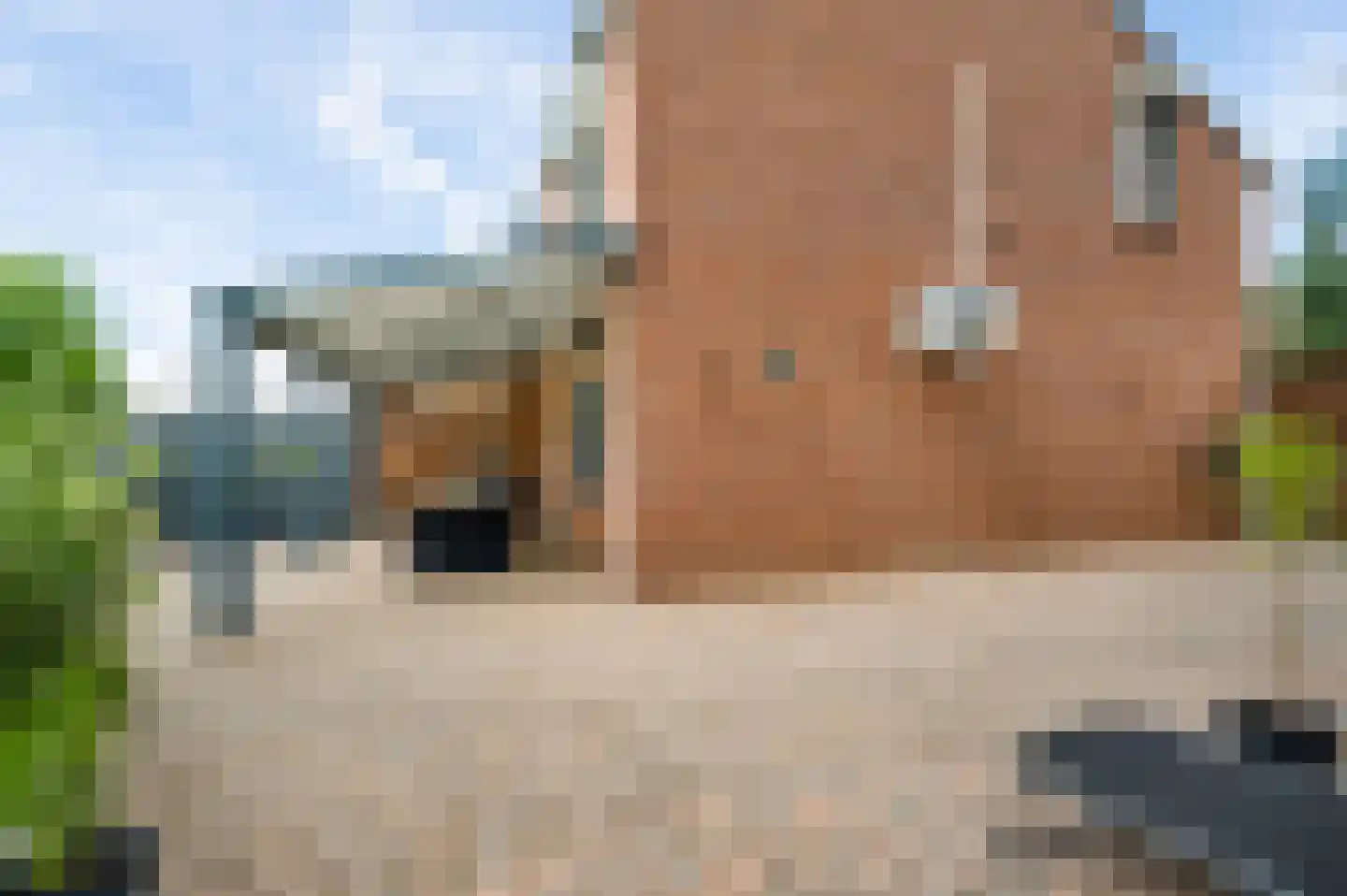 Kievitstraat 41 Sint Joost thumbnail 24