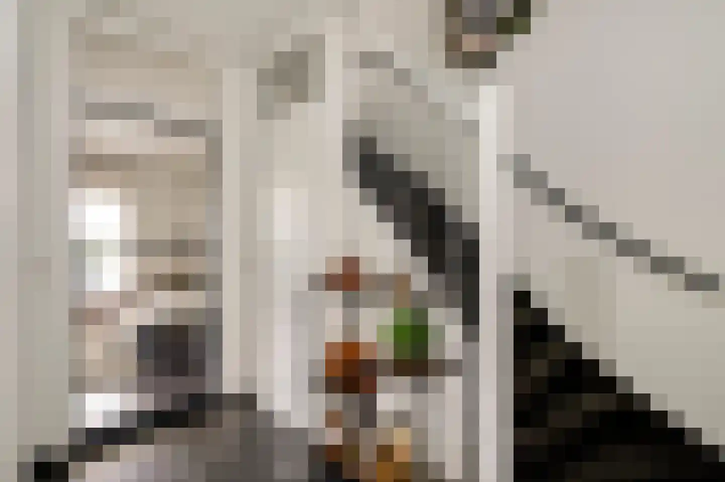 Kievitstraat 41 Sint Joost thumbnail 7