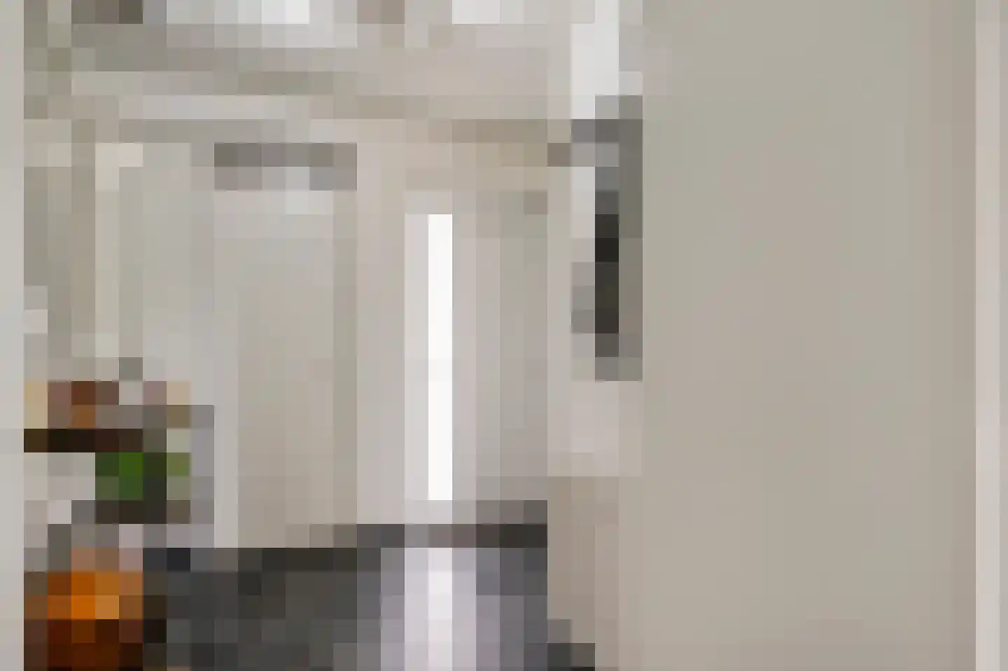 Kievitstraat 41 Sint Joost thumbnail 8