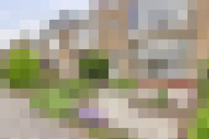 Kievitstraat 42 Alphen aan den Rijn thumbnail 31