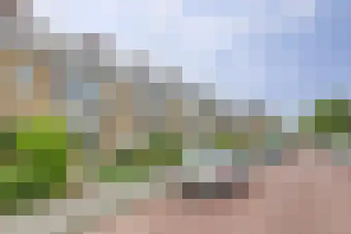 Kievitstraat 42 Alphen aan den Rijn thumbnail 32