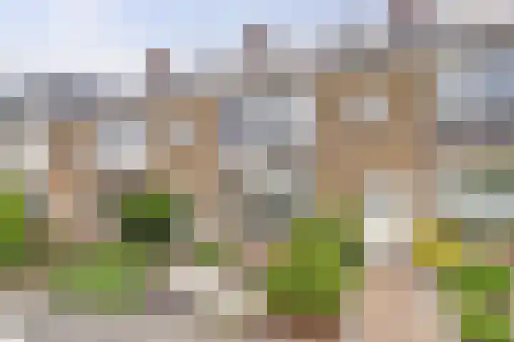 Kievitstraat 42 Alphen aan den Rijn thumbnail 40