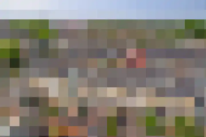 Kievitstraat 42 Alphen aan den Rijn thumbnail 6