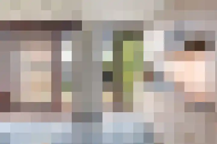 Kievitstraat 46 Lisse thumbnail 17