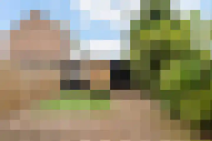 Kievitstraat 46 Lisse thumbnail 36