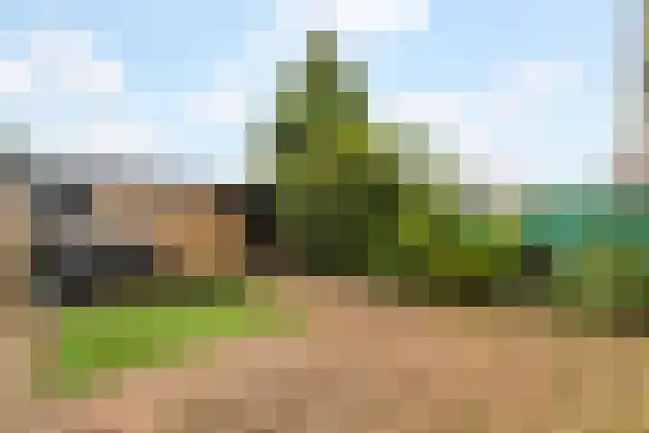 Kievitstraat 46 Lisse thumbnail 38