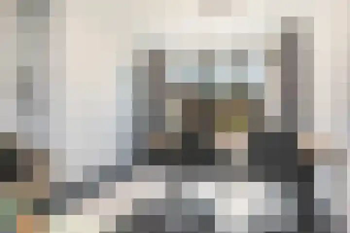 Kievitstraat 47 Goor thumbnail 14