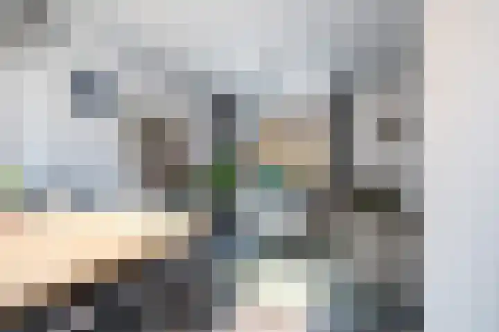 Kievitstraat 47 Goor thumbnail 15