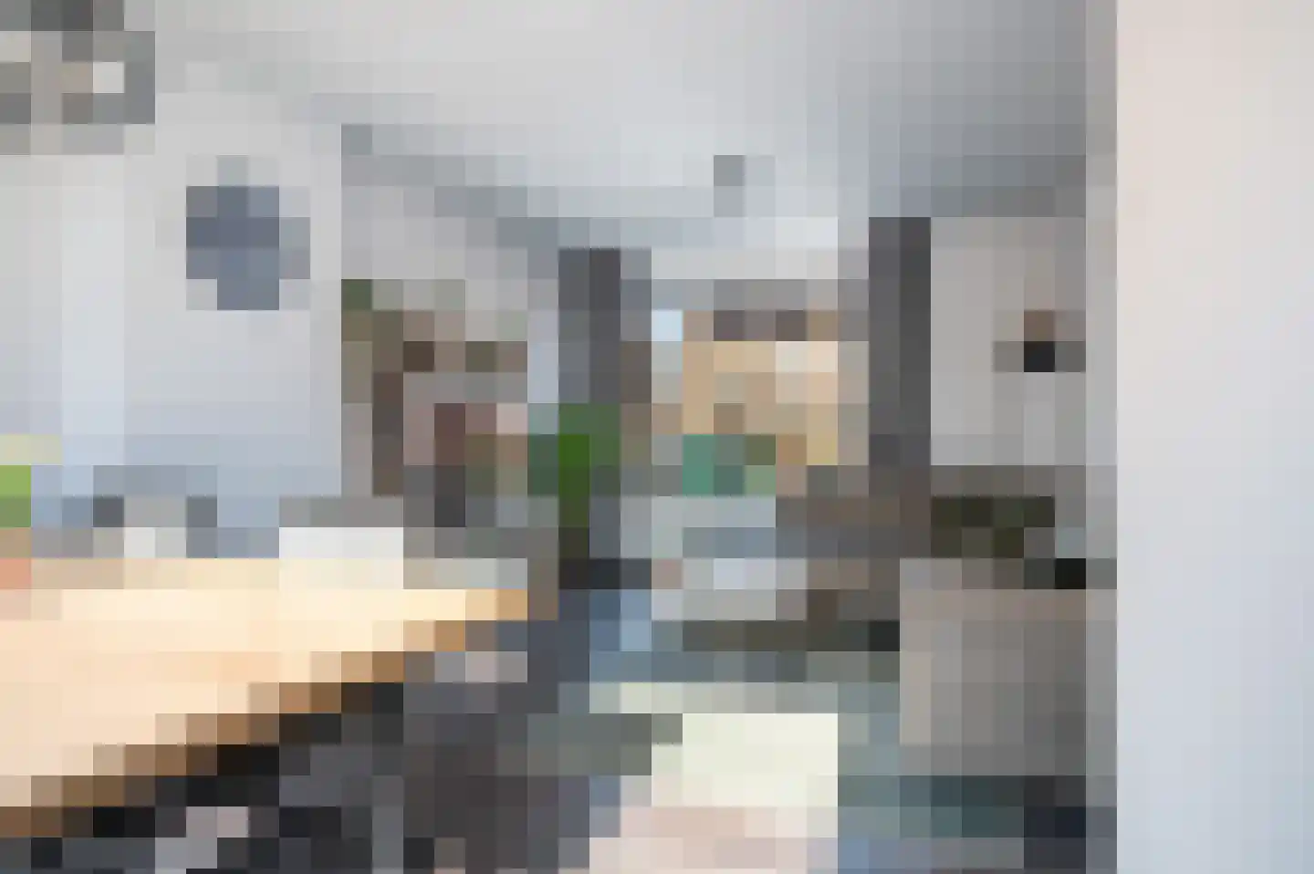 Kievitstraat 47 Goor thumbnail 15