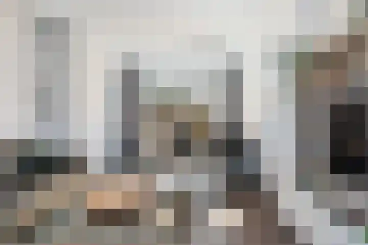 Kievitstraat 47 Goor thumbnail 16