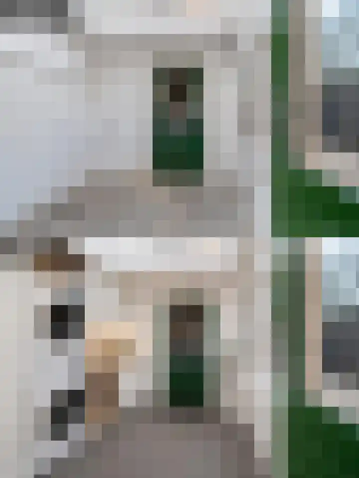 Kievitstraat 47 Goor thumbnail 18