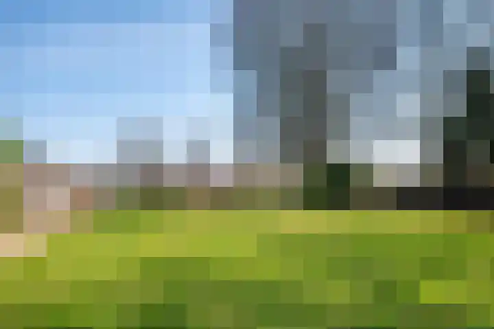 Kievitstraat 47 Goor thumbnail 6